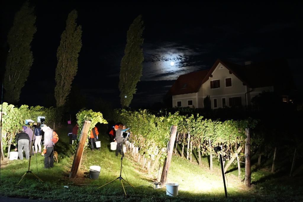 Klöch Winzerhof Familie Kloeckl 아파트 외부 사진