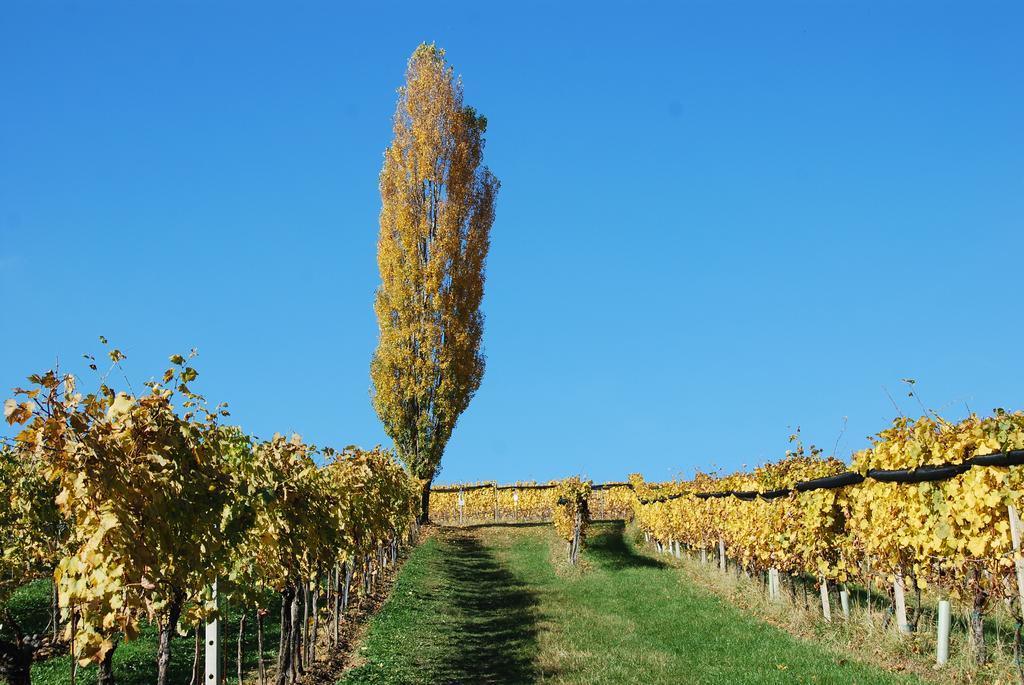 Klöch Winzerhof Familie Kloeckl 아파트 외부 사진
