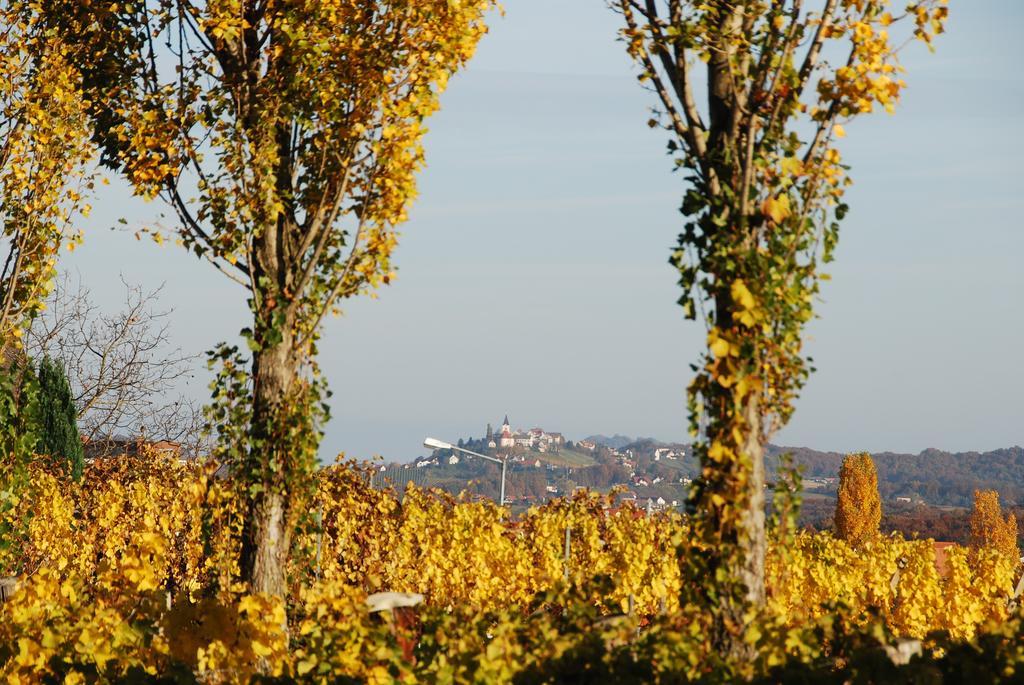 Klöch Winzerhof Familie Kloeckl 아파트 외부 사진