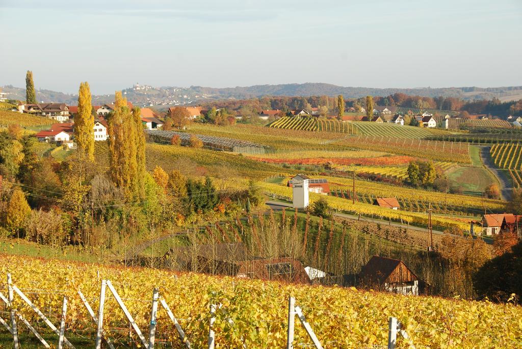 Klöch Winzerhof Familie Kloeckl 아파트 외부 사진
