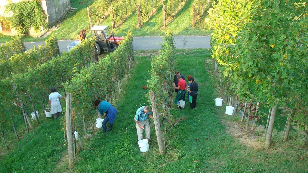 Klöch Winzerhof Familie Kloeckl 아파트 외부 사진