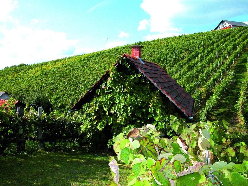 Klöch Winzerhof Familie Kloeckl 아파트 외부 사진