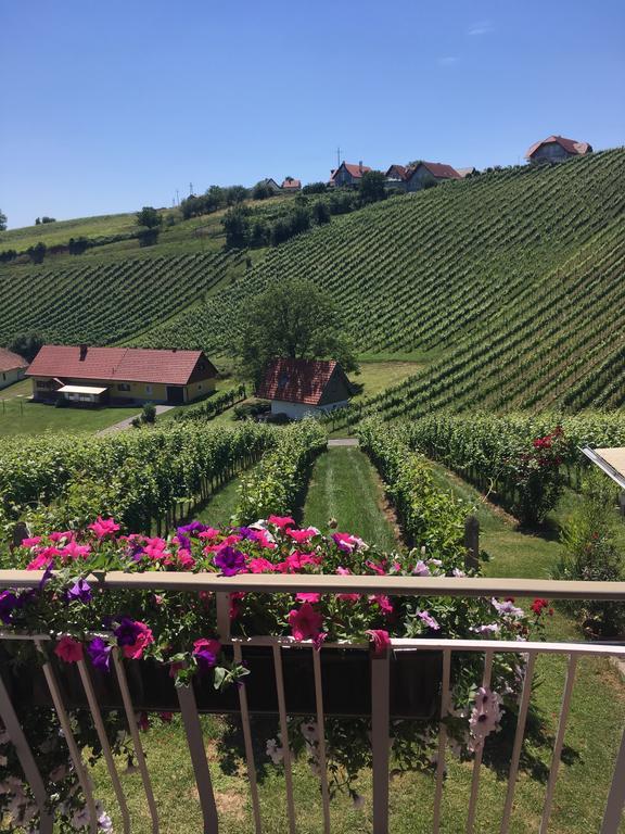 Klöch Winzerhof Familie Kloeckl 아파트 외부 사진